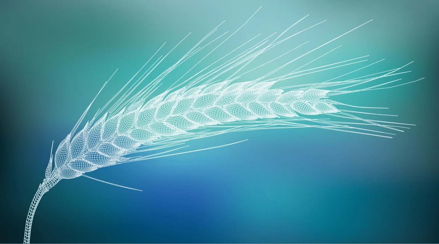 EuroChem brand book«